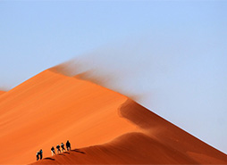 短信免费轰炸网页入口